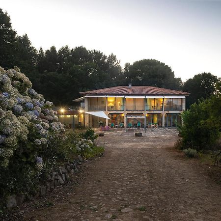 Braga House & Wineヴィラ エクステリア 写真