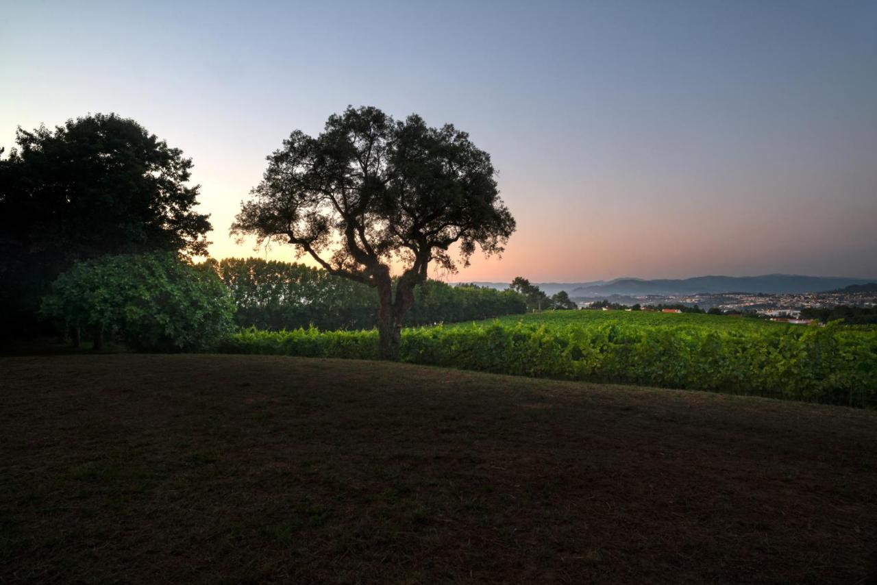 Braga House & Wineヴィラ エクステリア 写真