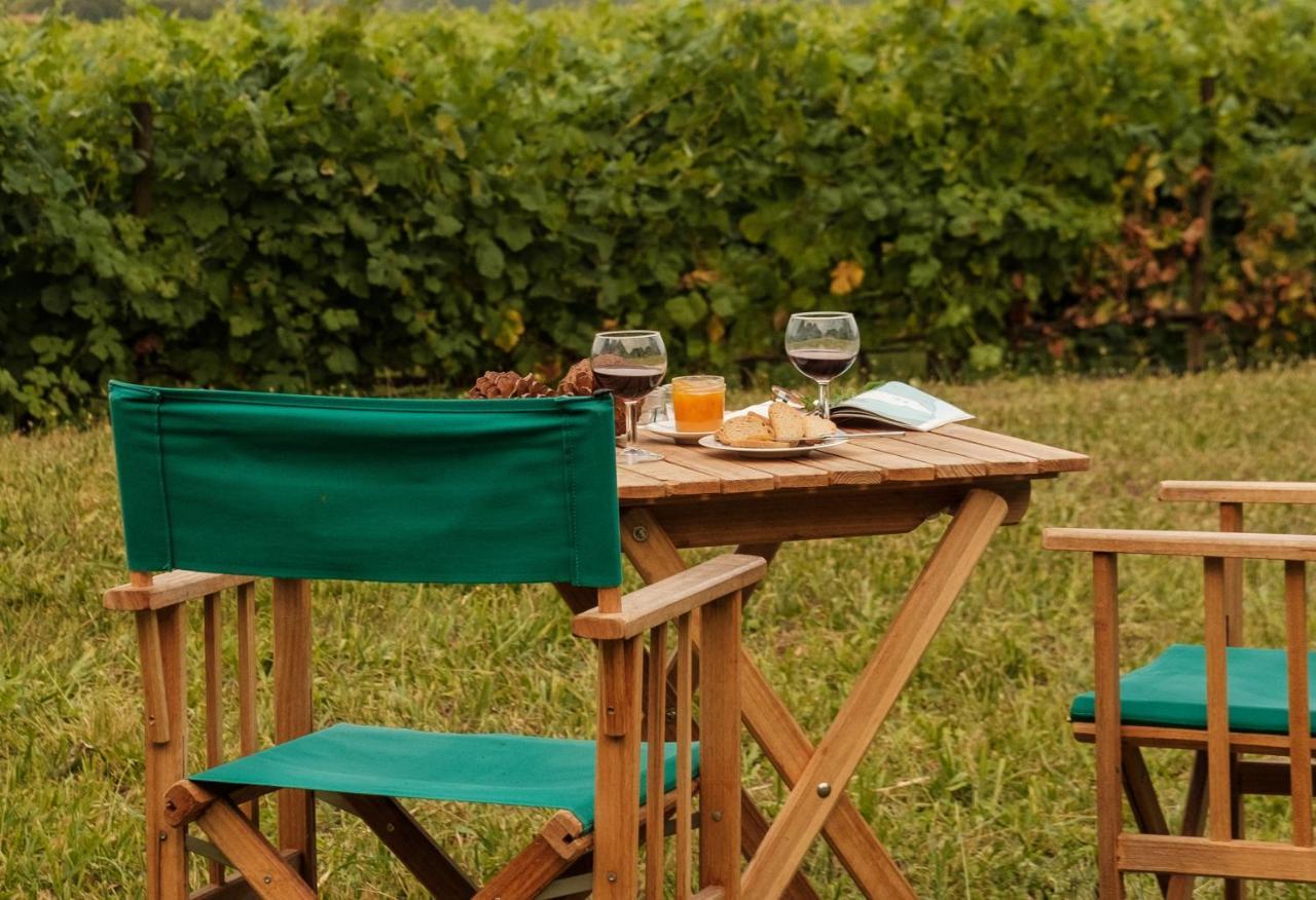 Braga House & Wineヴィラ エクステリア 写真